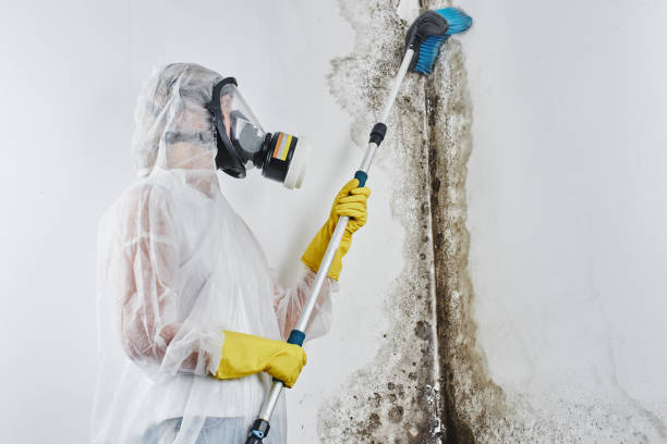 Best Mold Testing  in Rockcreek, OR