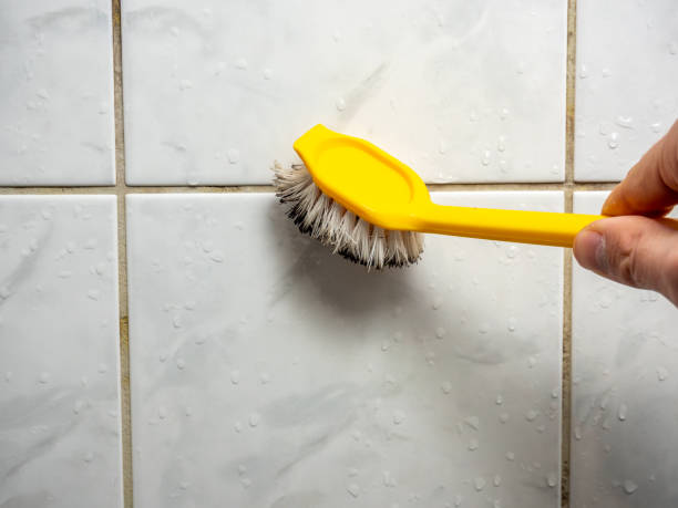 Best Black Mold Removal  in Rockcreek, OR
