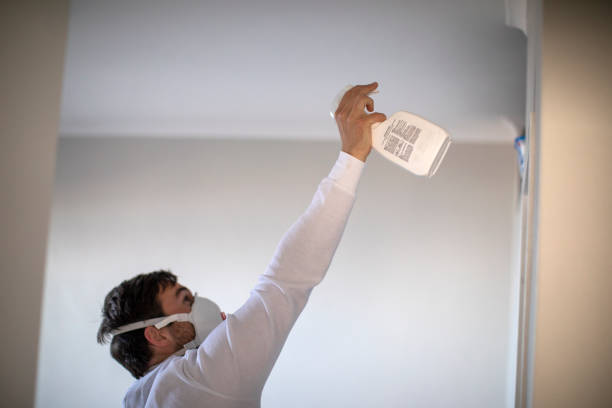 Best Residential Mold Removal  in Rockcreek, OR